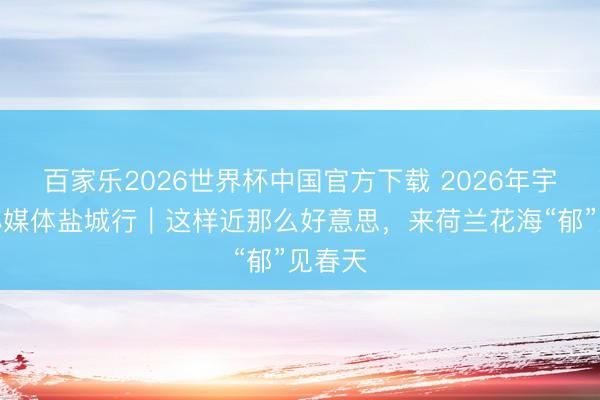 百家乐2026世界杯中国官方下载 2026年宇宙重心媒体盐城行｜这样近那么好意思，来荷兰花海“郁”见春天